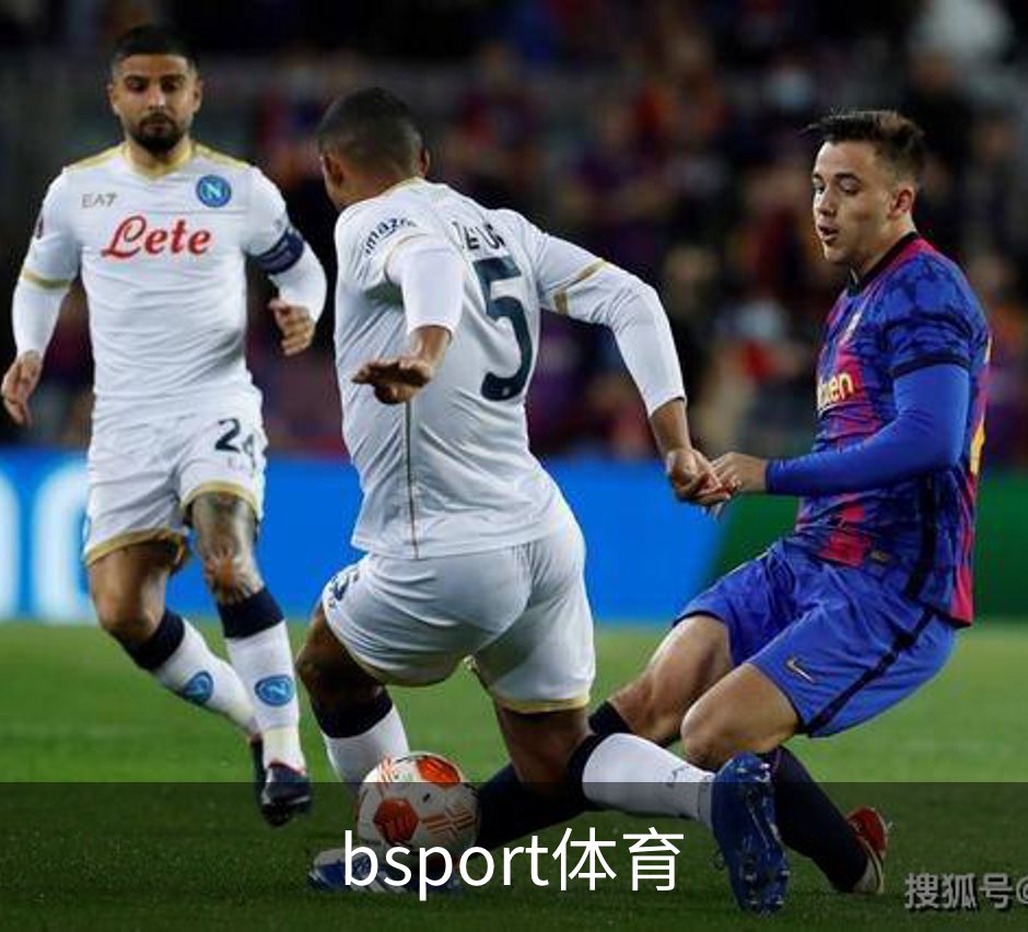 bsport体育概况